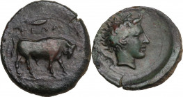 Sicily. Gela. AE Trias, c. 420-405 BC. Obv. ΓΕΛΑΣ. Bull with lowered head right; above, barley grain ; in exergue, [three pellets]. Rev. Head of the y...