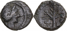 Sicily. Kentoripai. AE 10.5 mm. c. 208-200 BC. Obv. Laureate head of Apollo right. Rev. KEN-TOPI. Branch. HGC 2 639; CNS III 10; Virzi 925. AE. 1.40 g...