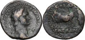 Domitian (81-96). AE Assarion. Patrae mint (Achaea). Obv. CAES DOM AVG GERM P M [.]. Laureate head right. Rev. COL A A PATRENS. Pontiff, holding vexil...