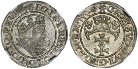 Sigismund I the Old, Groschen Danzig 1540 - NGC MS61 2-ga nota