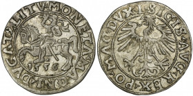 Sigismund II August, 1/2 Groschen 1556 - L/LITV - RARE RR