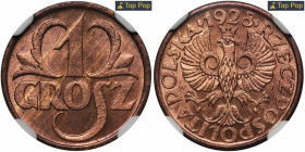 1 grosz 1928 - NGC MS66 RD MAX