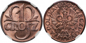 1 grosz 1930 - NGC MS66 RD - RZADKI 2-ga nota