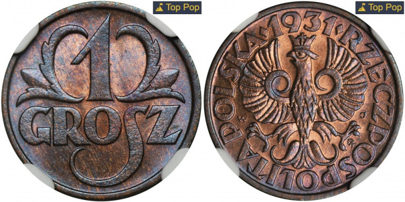 1 grosz 1931 - NGC MS67 RB Spektakularnej urody egzemplarz. Mocny blask i duża i...