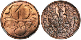 1 grosz 1933 - NGC MS66 RB 2-ga nota
