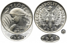 Kobieta i kłosy, 2 złote Birmingham 1924 - literka H - NAJRZADSZA