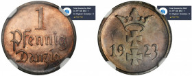 Free City of Danzig, 1 pfennige 1923 - NGC PF66 BN - PROOF MAX - JEDYNY