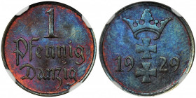 Free City of Danzig, 1 pfennig 1929 - NGC MS65 BN 2-ga nota