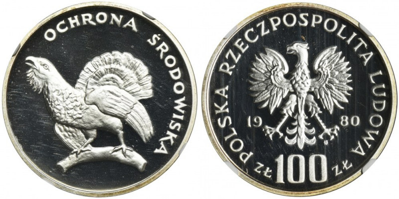 100 złotych 1980 Ochrona Środowiska Głuszec - NGC PF69 ULTRA CAMEO Druga najwyżs...