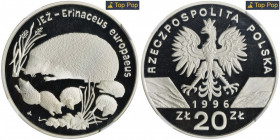 20 złotych 1996 Jeż - NGC PF70 ULTRA CAMEO MAX