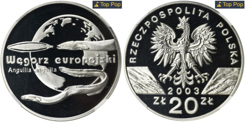 20 złotych 2003 Węgorz europejski - NGC PF70 ULTRA CAMEO Idealny stan zachowania...