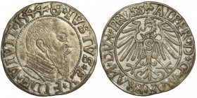 Duchy of Prussia, Albrecht Hohenzollern, Groschen Königsberg 1544