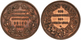 Silesia, Brieg, Medal of the Exhibition 1885