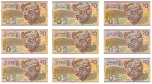 PWPW, Polskie Żubry 2019 (9szt) Pełny komplet odmian ostatniego banknotu promocy...