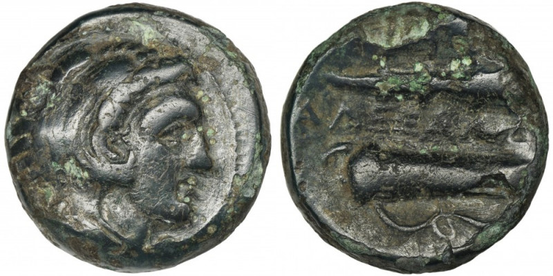 Greece, Macedonia, Alexander III the Great, AE Greece

Macedonia, Alexander II...