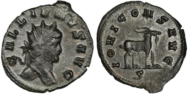 Roman Imperial, Gallienus, Antoninianus Roman Imperial
 Gallienus (253-268), An...