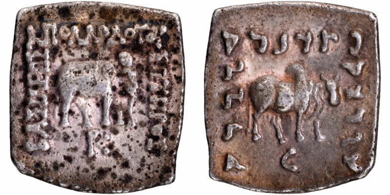 Indo Greeks, Apollodotus I (160-150 BC), Silver Drachma, Obv: an elephant walkin...