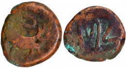 Copper Billi Shahi Paisa Coin of Sikh Feudatory Derajat.