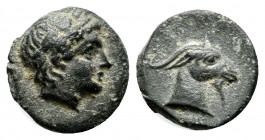 Aeolis, Aigai. 4th-3rd centuries BC. AE (10mm, 0.90g). Laureate head of Apollo right. / Head of goat right. SNG Ashmolean 1246–9.