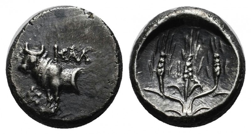 Bithynia, Kalchedon, Circa 367-340 BC. AR Hemidrachm (11mm, 1.93g). Forepart of ...