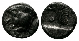 Mysia, Kyzikos (c.480 BC) Trihemiobol AR (9mm-1,18g). Forepart of boar left ; Tunny upward / Head of roaring lion left, outstretched tongue, all withi...