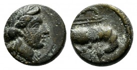 Mysia, Priapos, AE (9mm, 1.04g). Circa 1st century BC. Laureate head of Apollo right / Crayfish to left, ΠPIA below, [kerykeion behind tail]. SNG Fran...