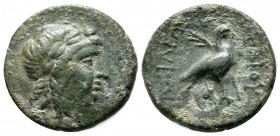 Seleukid Kingdom. Achaios (Usurper, 220-214 BC). AE (19mm, 5.58g). Sardes. Laureate head of Apollo right. / BAΣΙΛΕΩΣ / AXAIOY. Eagle standing right, w...