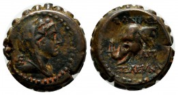 Seleukid Kingdom. Seleukos IV (187-175 BC). Serrate AE (15mm, 4.91g). Ake-Ptolemais. Veiled and diademed bust right of Laodike IV. / Horned elephant's...