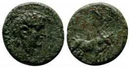 Macedon, Uncertain (Philippi?). Augustus. 27 BC-AD 14. AE (16mm-3,40g). Bare head right / Two pontiffs driving yoke of oxen right, plowing pomerium. R...