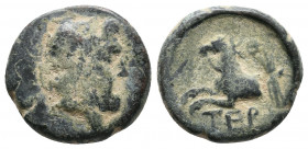 Pisidia. Termessos 100-0 BC. AE 5,59gr