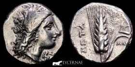 Lucania Silver Statera 7,86 g., 21 mm. Metapontum 325 B.C. GVF
