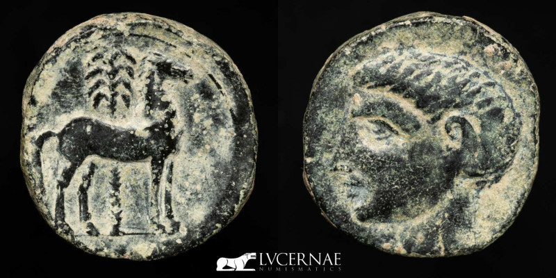 Ancient Hispania - Carthago-Nova, bronze calco (10,92 g, 23 mm). Carthaginian oc...