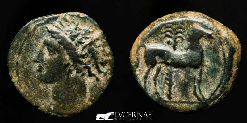 Ancient Hispania - Carthaginian occupation (220-205 B.C.), bronze half calco (3,...