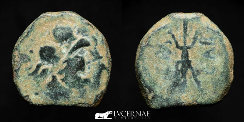 Ancient Hispania - Carteia (San Roque). Bronze semis. (8,16 g., 22 mm.). Carteia...