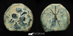 Carteia Spain Bronze Semis 8,16 g., 22 mm. Cadiz, San Roque 80-20 AD. Fine