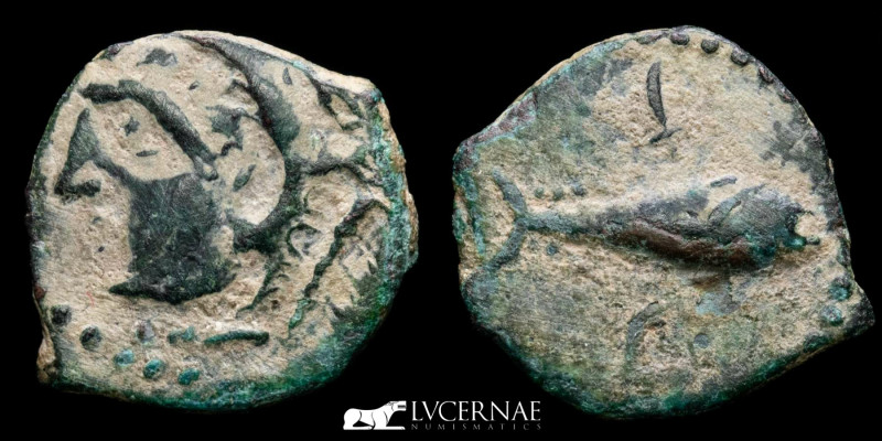 Ancient Hispania - Gades (actual Cádiz)
Bronze 1/4 Calco, (1.31 g. 14 mm.) minte...