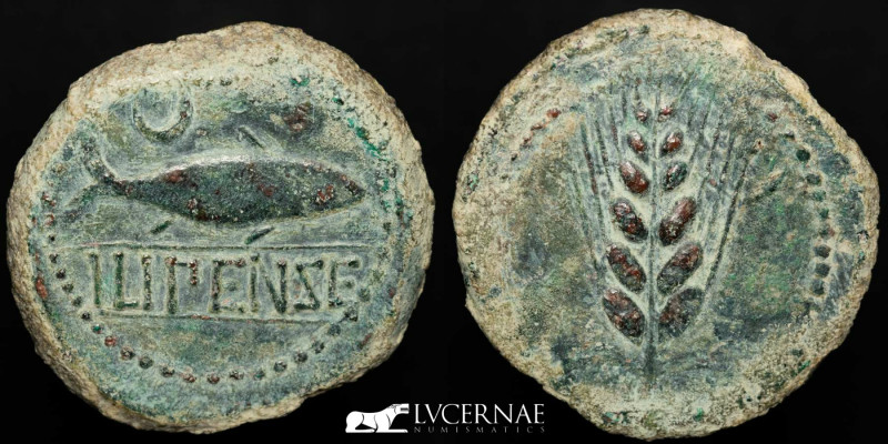 Ancient Spain - Ilipense. Bronze as (21,9 g., 34 mm.). Circa 150-100 BC. 

Grain...