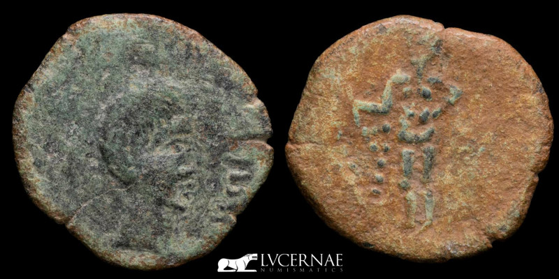 Ancient Hispania - Osset. Augustus(?), 27 BC-AD 14. (Bronze, 6.18 g., 22 mm.). 
...