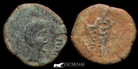 Osset Bronze As 6.18 g., 22 mm. Osset 27 BC - 14 AD Very Fine