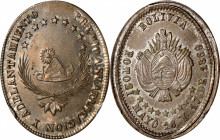 BOLIVIA. Silver Academic Award Medal, 1869. Potosi Mint. PCGS MS-64.

Weight: 10.62 gms, oval shape. An Advancement and Application Medal. Obverse: ...
