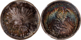 MEXICO. Peso, 1901-Zs FZ. Zacatecas Mint. NGC MS-63.

KM-409.3. A boldly struck Peso with gorgeous rainbow colors across both sides, and silky under...