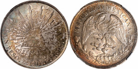 MEXICO. Peso, 1902-Zs FZ. Zacatecas Mint. NGC MS-64.

KM-409.3. A strongly lustrous and well struck Peso, with mottled gray to russet toning on both...