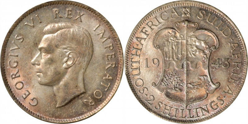 SOUTH AFRICA. 2 Shillings, 1943. George VI. PCGS MS-62.

KM-29. A boldly struc...