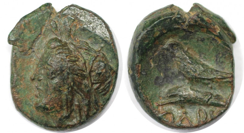 Griechische Münzen, BOSPORUS. Olbia. Bronze 260-250 v. Chr. (1,99 g. 13.5 mm). S...