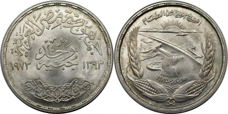 Weltmünzen und Medaillen, Ägypten / Egypt. Assuan-Staudamm. 1 Pound 1973. 25,0 g...