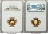 Elizabeth II gold Colorized Proof "Kangaroo" 25 Dollars (1/4 oz) 2005-P PR70 Ultra Cameo NGC, Perth mint, KM912. Mintage: 250. AGW 0.2489 oz. 

HID098...