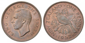 NUOVA ZELANDA
Giorgio VI, 1936-1952. 
Penny 1952.
Æ gr. 9,49
Dr. Testa nuda a s.
Rv. Il Tui su un ramo di Kowhai.
KM#21.
FDC