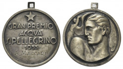 ROMA
Ventennio Fascista, dal 1923 al 1943.
Medaglia 1933 Gran Premio Acqua San Pellegrino.
Ag gr. 9,05 mm. 28,4
Dr. GRAN PREMIO / ACQVA / S PELLEG...