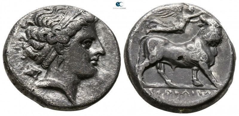 Campania. Neapolis 320-300 BC. 
Didrachm AR

17mm., 7,23g.

Head of the nym...