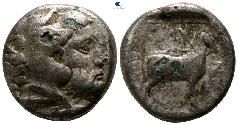 Kings of Macedon. Aigai. Amyntas III 393-369 BC. 
Foureé Didrachm AR

19mm., ...